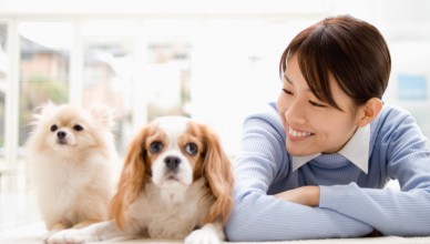 【ペットを飼うと英語力が上がる！？】英語学習の新しいパートナー