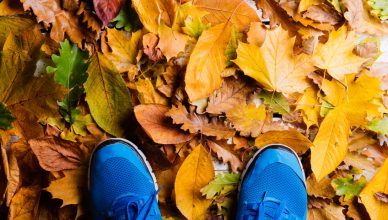 秋の天気や紅葉について、英語で話そう