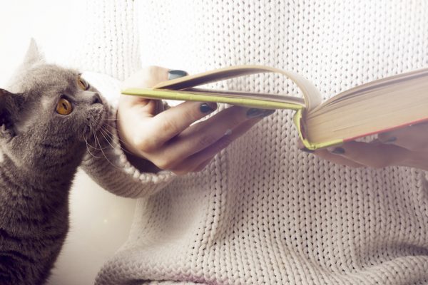 Young girl reading an open old book. Knowledge,