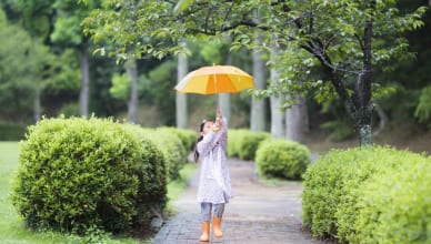 天気と天気予報について英語でいえる？ 天気にまつわる英語フレーズと海外事情