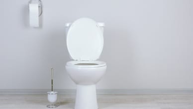 外国人もビックリ、日本の最新トイレ事情を英語で説明