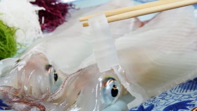 「イカ」は英語で何という？「squid」だけじゃない！イカの呼び方と違いを解説！