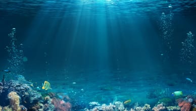 「一番深い＝the deepest」とは限らない？最上級のいろはを基礎からご紹介します！