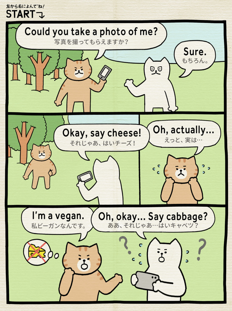 写真を撮るとき英語でなんていう しろねこトーフで英会話vol 176 English Lab イングリッシュラボ レアジョブ英会話が発信する英語サイト