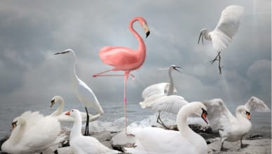 知っておくべき「〜とは違う」の英語表現集。「あなたらしくない」や「そんなんじゃない」を表現できる？
