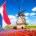 国民の94%がバイリンガル！？なぜオランダの英語力は非英語圏でトップなの？