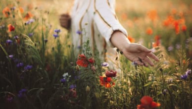 花を使った英語のイディオムを学んで表現の幅を広げよう！