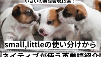 小さいの英語表現15選！small,littleの使い分けからネイティブが使う英単語紹介