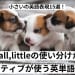 小さいの英語表現15選！small,littleの使い分けからネイティブが使う英単語紹介